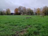 Maison à construire à Marolles-les-Braults (72260) 2162699-3704annonce120250519B3pvp.jpeg Maisons France Confort