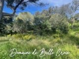 Terrain à bâtir à Villeneuve-lès-Avignon (30400) 2162702-617annonce320250114dv6HH.jpeg Maisons France Confort