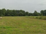 Maison à construire à Nivelle (59230) 2162083-10863annonce120250519T904t.jpeg Maisons France Confort