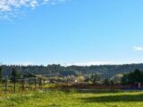 Terrain à bâtir à Domazan (30390) 2163144-617annonce120241212mRHND.jpeg Maisons France Confort