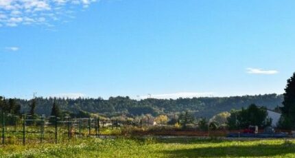 Domazan Terrain à bâtir - 2163144-617annonce120241212mRHND.jpeg Maisons France Confort