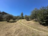 Terrain à bâtir à Draguignan (83300) 2163459-3701annonce120250520TeVsQ.jpeg Maisons France Confort
