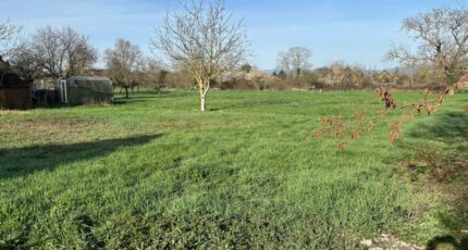 Holtzwihr Terrain à bâtir - 2163480-9613annonce1202505200LTTF.jpeg Maisons France Confort