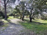 Terrain à bâtir à Vidauban (83550) 2163991-11039annonce220250520iOi7M.jpeg Maisons France Confort