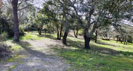 Vidauban Maison neuve - 2163998-11039annonce220250520iOi7M.jpeg Maisons France Confort