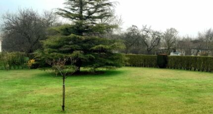Desvres Terrain à bâtir - 2164015-10302annonce220250520yAPH3.jpeg Maisons France Confort