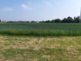 Maison à construire à Auchy-les-Mines (62138) 2164062-5754annonce1202505209BrZQ.jpeg Maisons France Confort