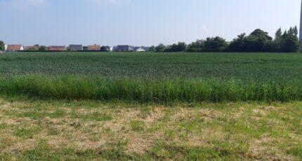 Auchy-les-Mines Maison neuve - 2164062-5754annonce1202505209BrZQ.jpeg Maisons France Confort