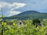 Maison à construire à Bergheim (68750) 2164135-9613annonce120250521xkBVM.jpeg Maisons France Confort