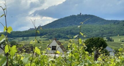 Bergheim Maison neuve - 2164135-9613annonce120250521xkBVM.jpeg Maisons France Confort