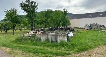 Orschwihr Maison neuve - 2164219-9613annonce220250521JDxJH.jpeg Maisons France Confort