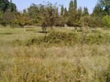 Terrain à bâtir à Aubignan (84810) 2164793-695annonce420250521thu4B.jpeg Maisons France Confort