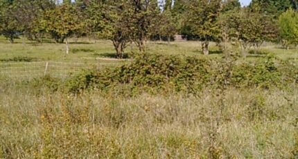 Aubignan Terrain à bâtir - 2164812-695annonce420250521T9TSR.jpeg Maisons France Confort