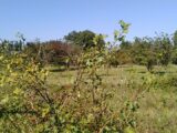 Maison à construire à Aubignan (84810) 2164845-695annonce320250521RP7mH.jpeg Maisons France Confort