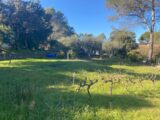 Terrain à bâtir à Pierrefeu-du-Var (83390) 2165413-10122annonce120250522VouwW.jpeg Maisons France Confort