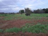Terrain à bâtir à Fos-sur-Mer (13270) 2165800-11041annonce320250522N1rDf.jpeg Maisons France Confort
