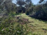 Terrain à bâtir à Le Cannet-des-Maures (83340) 2166633-9911annonce12025052288Icu.jpeg Maisons France Confort