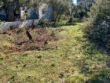 Terrain à bâtir à Le Cannet-des-Maures (83340) 2166633-9911annonce220250522NAum0.jpeg Maisons France Confort