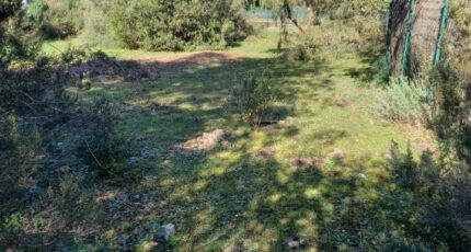 Le Cannet-des-Maures Maison neuve - 2166645-9911annonce3202505229J28M.jpeg Maisons France Confort