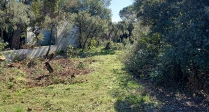 Le Cannet-des-Maures Maison neuve - 2166645-9911annonce4202505221Laxo.jpeg Maisons France Confort