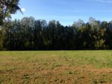 Terrain à bâtir à Mallemort (13370) 2136480-417annonce120250418ARFHk.jpeg Maisons France Confort