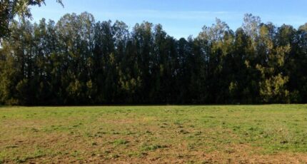 Mallemort Terrain à bâtir - 2136480-417annonce120250418ARFHk.jpeg Maisons France Confort