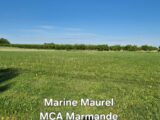 Terrain à bâtir à Taillecavat (33580) 2164372-11161annonce220250521vTJRQ.jpeg Maisons France Confort