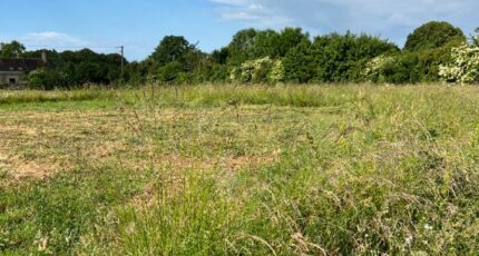 Fyé Terrain à bâtir - 2167146-3704annonce120250523TLoAX.jpeg Maisons France Confort