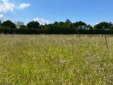 Maison à construire à Fyé (72610) 2167171-3704annonce120250523l9TrU.jpeg Maisons France Confort