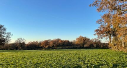 Le Poinçonnet Terrain à bâtir - 2168003-10775annonce120250523TQ2a3.jpeg Maisons France Confort