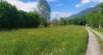 Tencin Terrain à bâtir - 2166750-3618annonce120250522eqhXD.jpeg Maisons France Confort