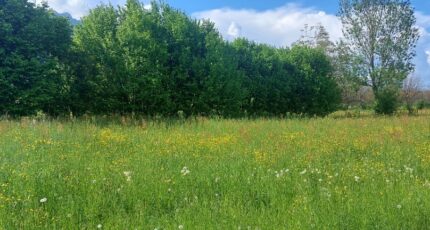 Tencin Terrain à bâtir - 2166750-3618annonce220250522BZZTm.jpeg Maisons France Confort