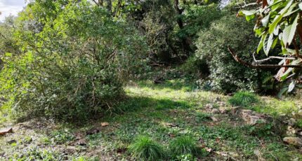 Rocbaron Maison neuve - 2167992-11039annonce120250523qL9H5.jpeg Maisons France Confort