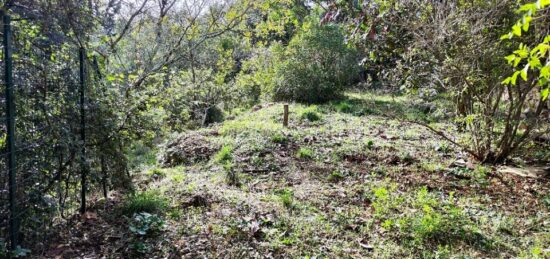 Terrain à bâtir à , Var