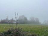 Terrain à bâtir à Maromme (76150) 2138033-11168annonce120250422Iqrpd.jpeg Maisons France Confort