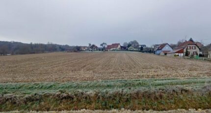 Friesen Terrain à bâtir - 2168584-11139annonce120250523b00dr.jpeg Maisons France Confort