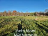 Terrain à bâtir à Saint-Géraud (47120) 2167865-11161annonce120250507VUOXW.jpeg Maisons France Confort