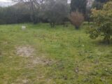 Maison à construire à Alleins (13980) 2105321-11191annonce120250313AxAAW.jpeg Maisons France Confort