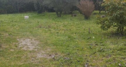 Alleins Maison neuve - 2105321-11191annonce120250313AxAAW.jpeg Maisons France Confort