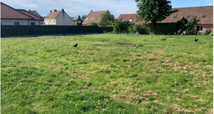 La Capelle-lès-Boulogne Terrain à bâtir - 2164848-10302annonce120250521R7ggz.jpeg Maisons France Confort
