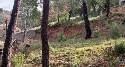 Vidauban Maison neuve - 2170963-11157annonce520250526HeAeC.jpeg Maisons France Confort