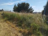 Terrain à bâtir à Martigues (13500) 2171329-11191annonce320250527KFysp.jpeg Maisons France Confort