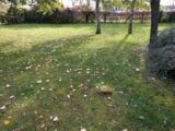 Terrain à bâtir à Melun (77000) 2169495-10730annonce120250524m26eB.jpeg Maisons France Confort