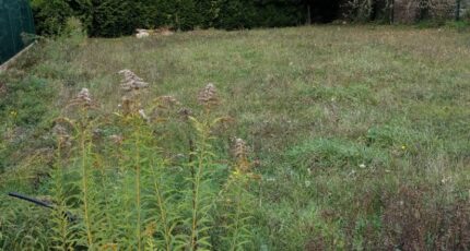 Saint-Germain-Laxis Maison neuve - 2169483-10730annonce320250524OmBU4.jpeg Maisons France Confort