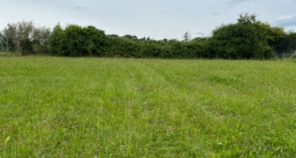 Piacé Terrain à bâtir - 2172147-3704annonce120250527T3HtO.jpeg Maisons France Confort