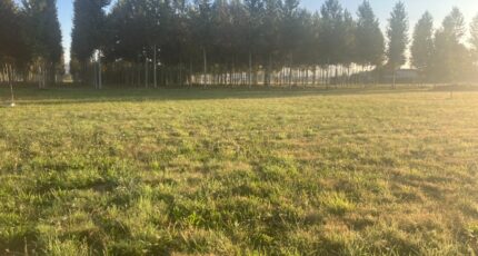 Beaupuy Terrain à bâtir - 2165181-11292annonce120250521BHgLN.jpeg Maisons France Confort