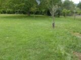 Terrain à bâtir à Cabanac-et-Villagrains (33650) 2166497-11306annonce120250522CVx9r.jpeg Maisons France Confort