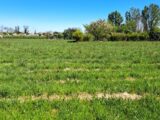 Terrain à bâtir à Gardonne (24680) 2173123-11103annonce1202505280RmIm.jpeg Maisons France Confort