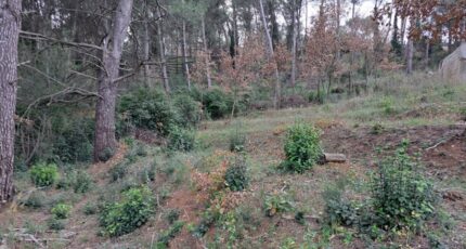 La Destrousse Maison neuve - 2173522-11041annonce1202505288baqK.jpeg Maisons France Confort