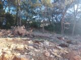 Terrain à bâtir à Tourves (83170) 2173797-11137annonce120250203SWSEo.jpeg Maisons France Confort